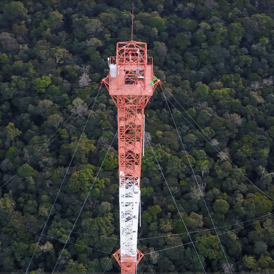 Blick über den AttoTurm und Regenwald in Brasilien